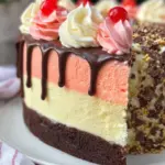 Neapolitan Cake