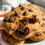 Healthy Pumpkin Chocolate Chip Cookies 24 Healthy Pumpkin Chocolate Chip Cookies