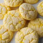Sugar Free Lemon Cookie Recipe 19 Sugar Free Lemon Cookie Recipe